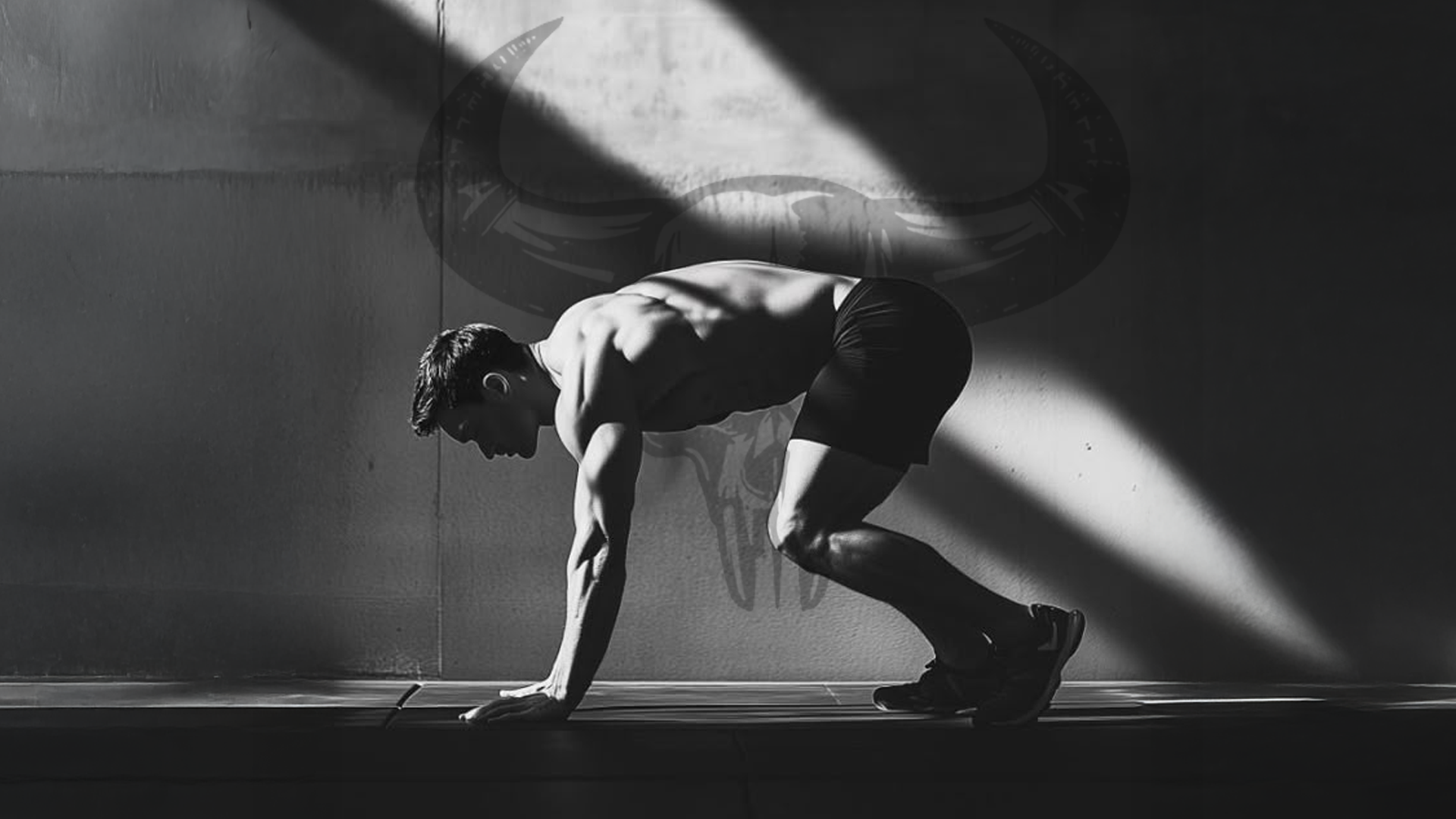 The Bull Mentality: The Significance of Being Present Each Day